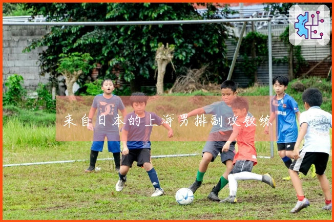 来自日本的上海男排副攻教练