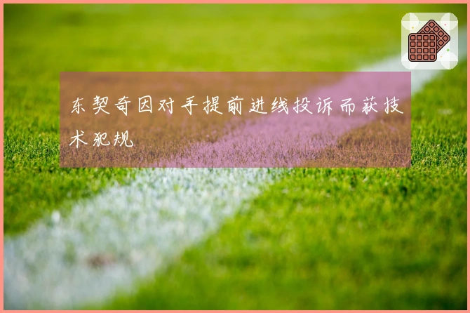 东契奇因对手提前进线投诉而获技术犯规