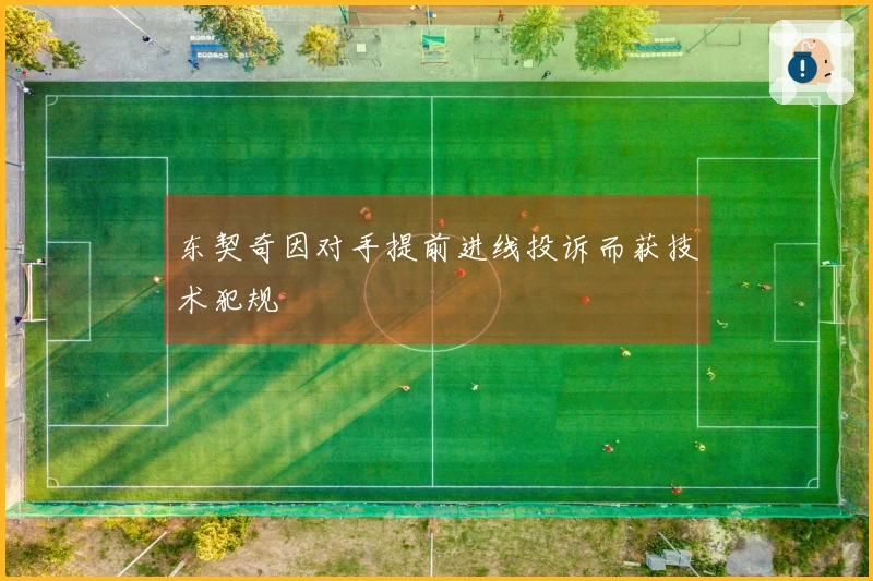 东契奇因对手提前进线投诉而获技术犯规