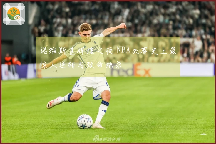 诺维斯基辉煌之夜 NBA决赛史上最惊人逆转与致命绝杀